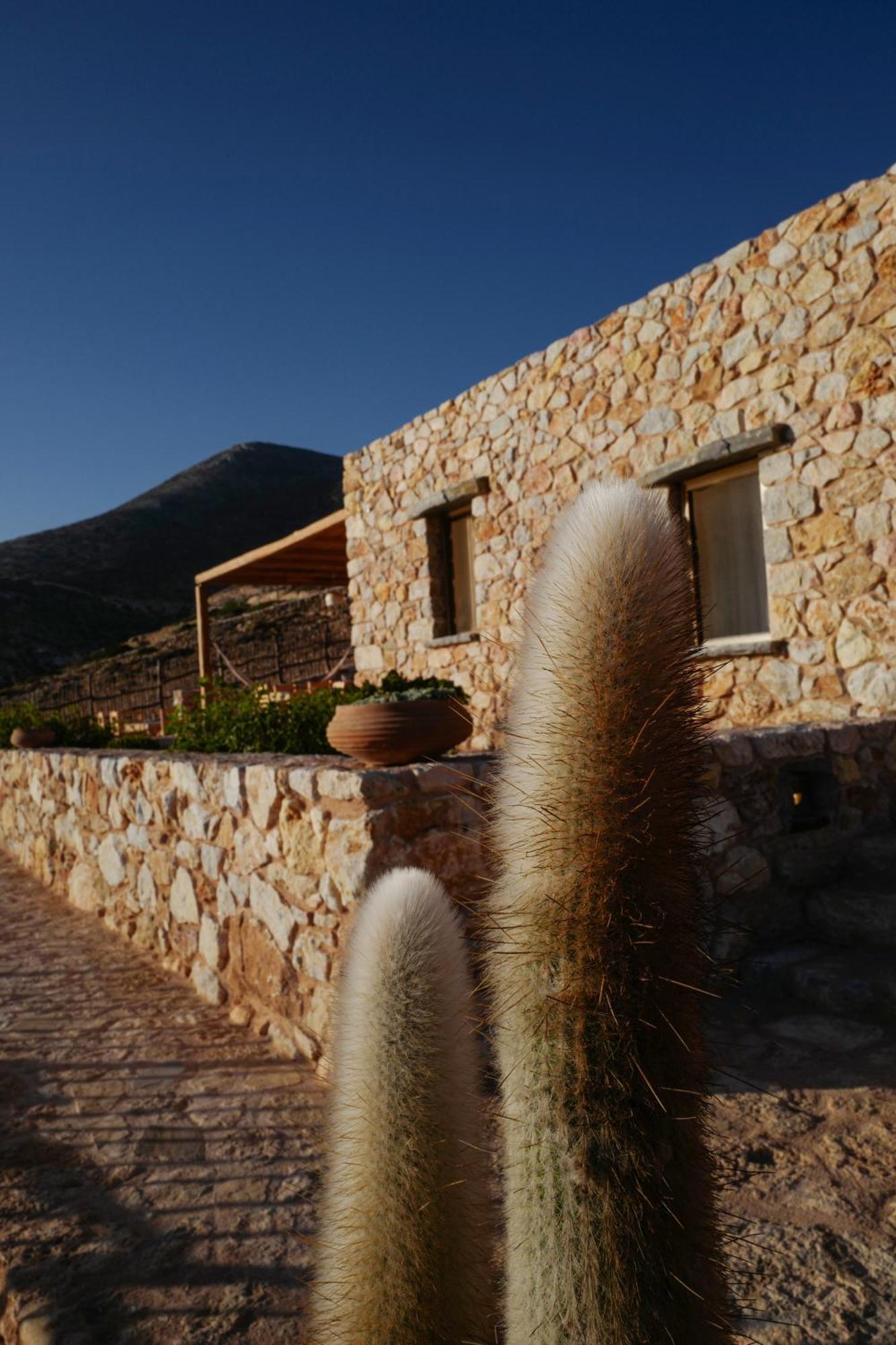 Phisis Nature Retreat Donousa Exteriér fotografie